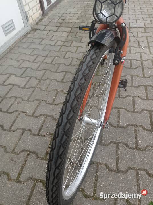 Damka Graphite Focus 26 Lublin