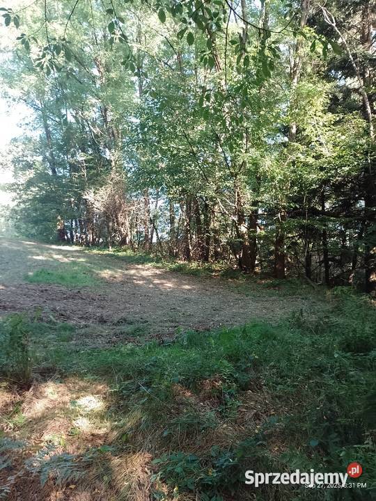 Działka budowlano leśna małopolskie Zawada