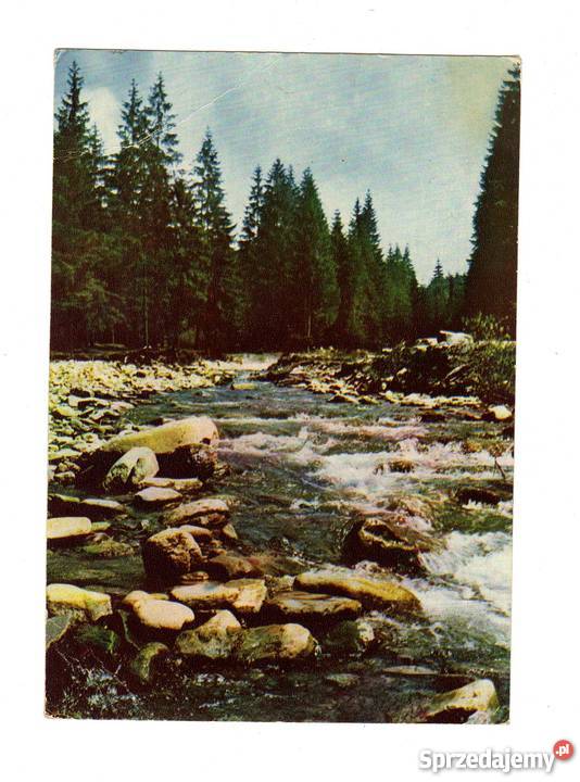 WISŁA CZARNE BIAŁA WISEŁKA POCZTÓWKA Krynki sprzedam