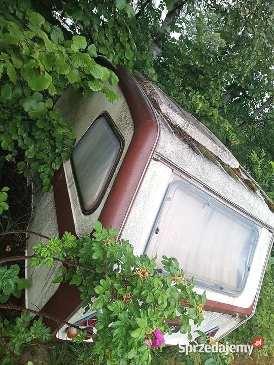 Niewiadów N126 przyczepa kempingowa na działkę śląskie