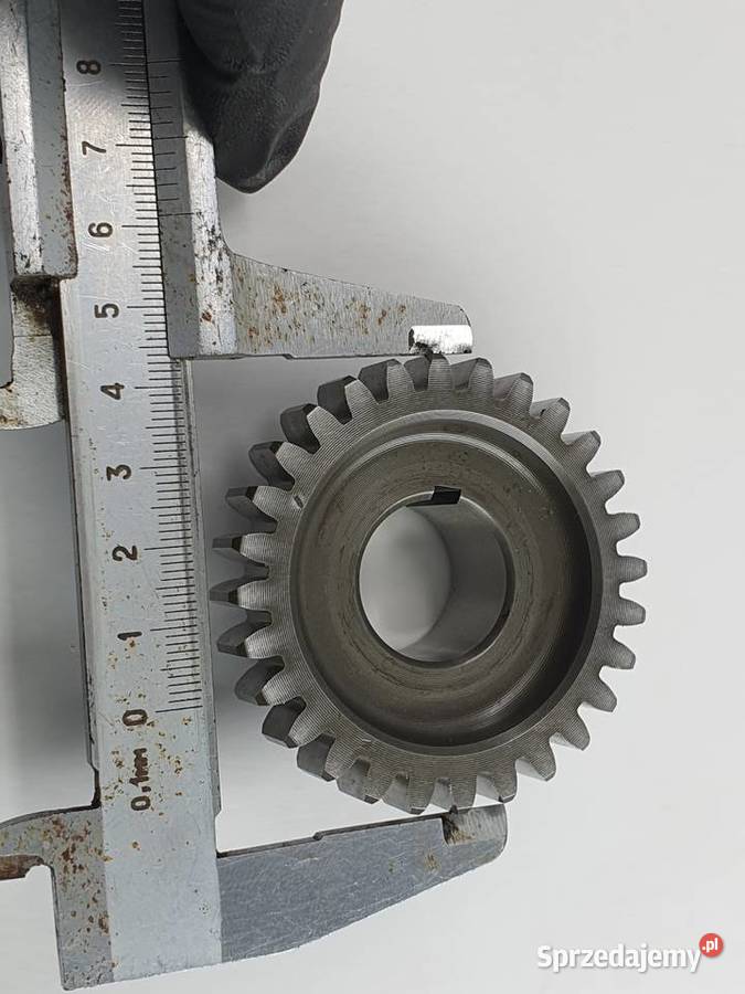 Tryb Walu Zebatka Beta 250 Łódź