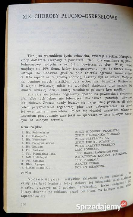 Moje widzenia świata wróćmy do przyrody kujawsko-pomorskie