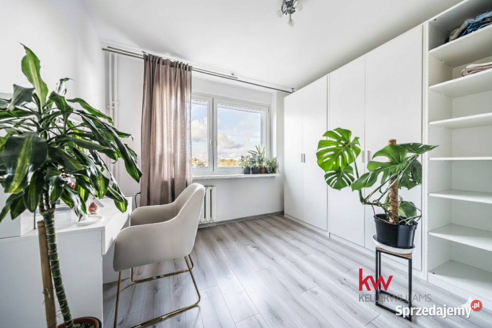 sprzedaży mieszkania 648m2 3 pokoje Poznań Mieszkania wielkopolskie