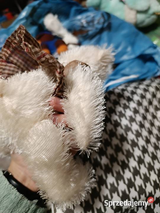 miś pluszowy Ty Classic Sugarcane  Poznań