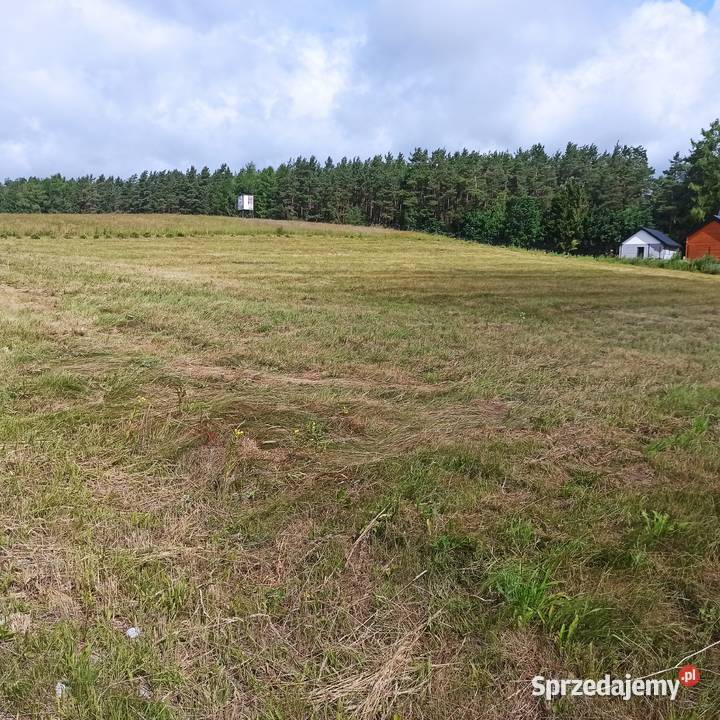 Działka z WZ w spokojnej okolicy niedaleko Bieszkowice