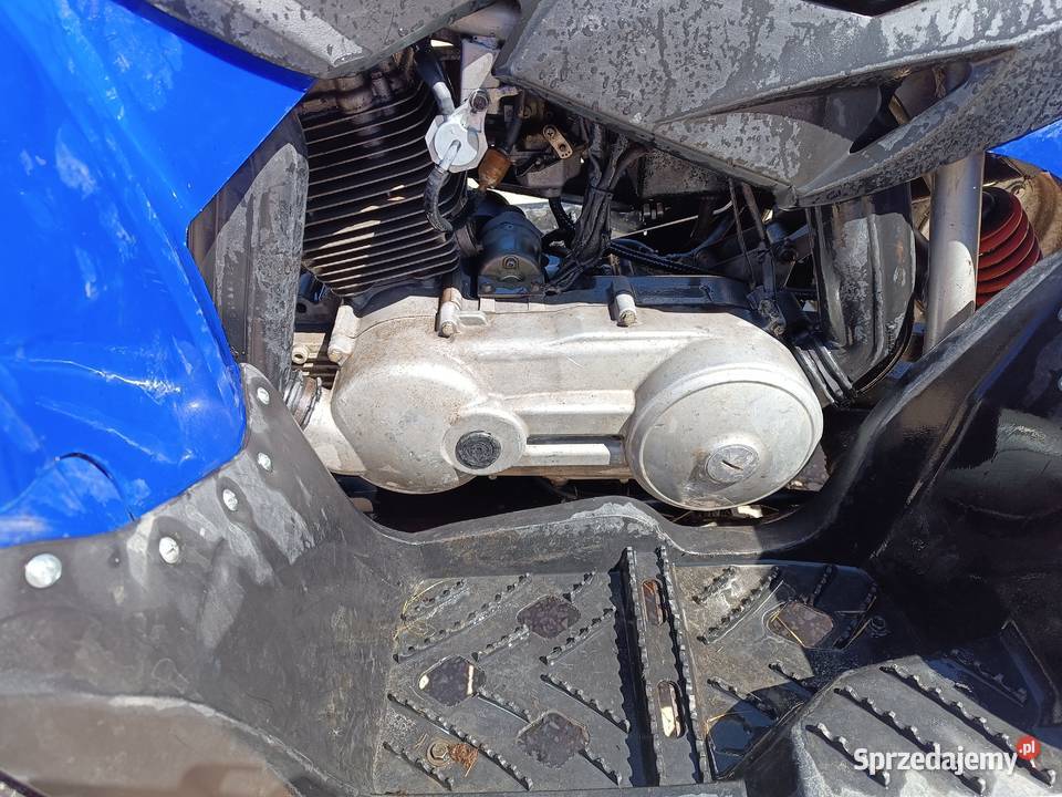 Quad aeon Cobra 220 zarejestrowany quad - ATV Nowy Dzikowiec sprzedam