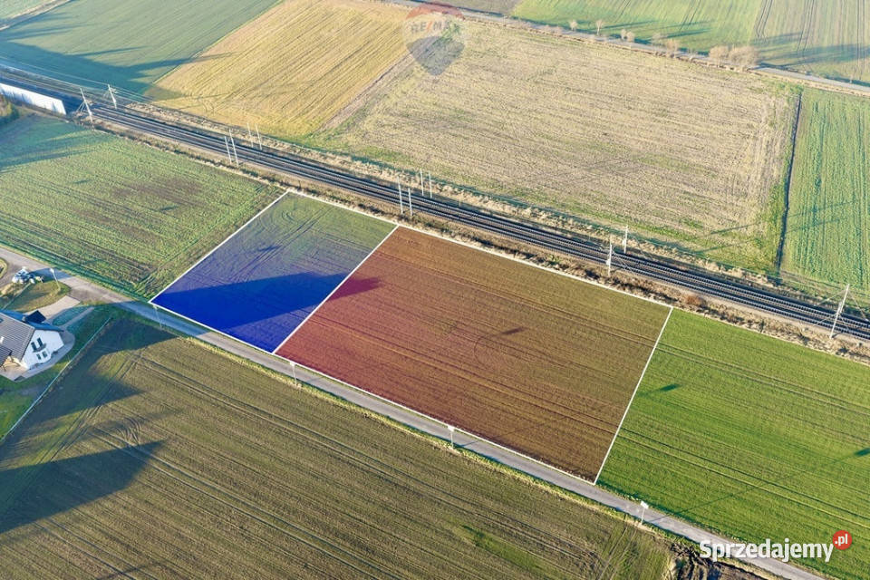 Dwie działki 6859 m w pobliżu Legnicy asfalt Siedliska