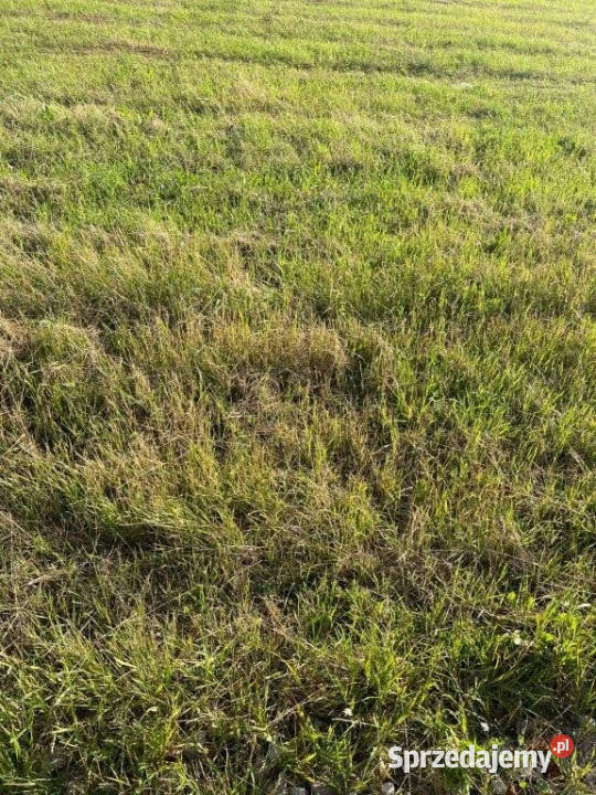sprzedaży działki Jarosławiec 500 metrów 500m2
