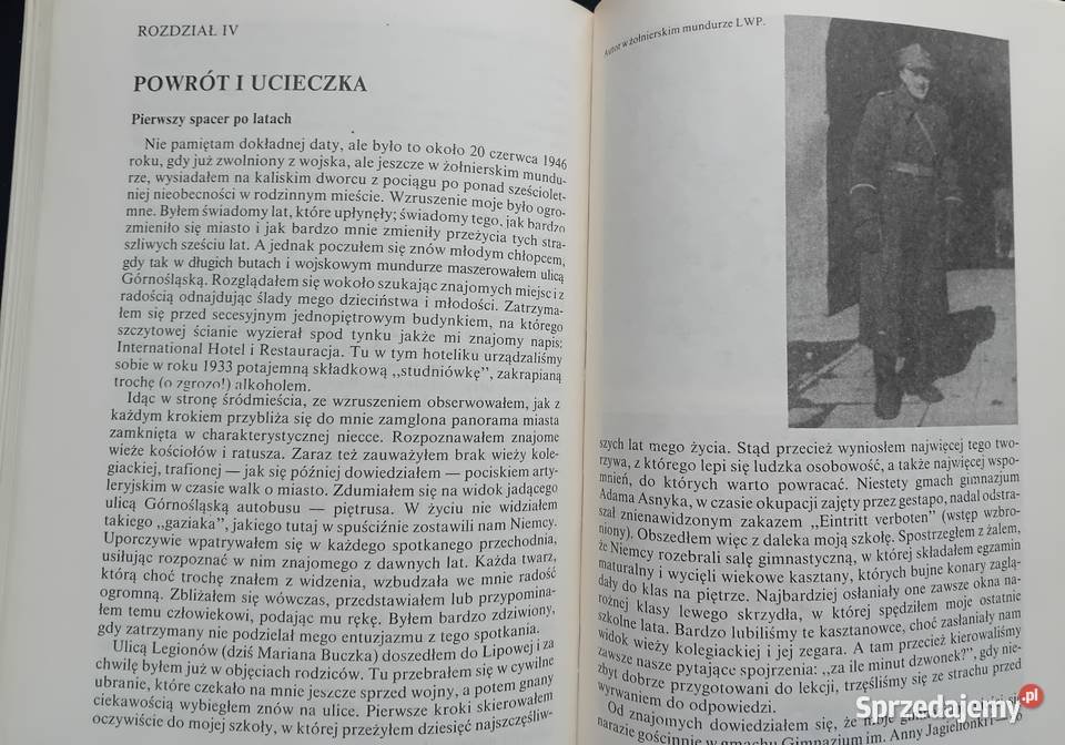 Tadeusz Pniewski Kalisz z oddali Towarzystwo wielkopolskie Koźminek