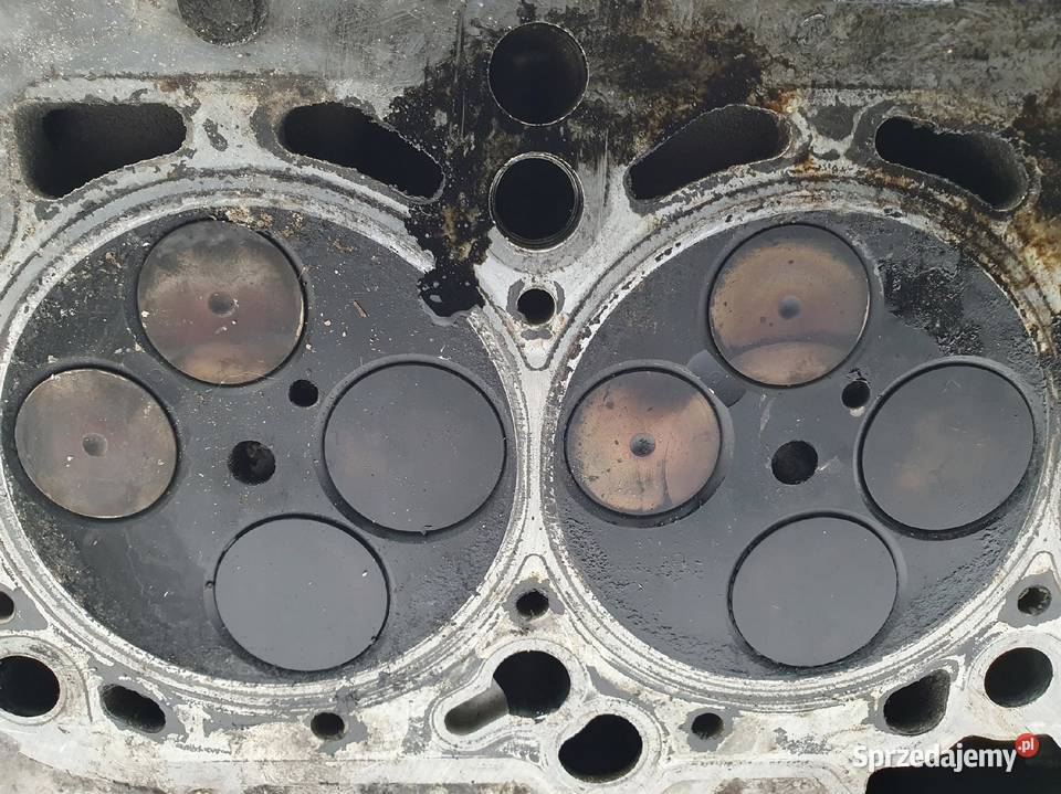 GŁOWICA CYLINDRÓW VW Passat B6 Golf V Audi A3 8P osobowe lubelskie Chełm
