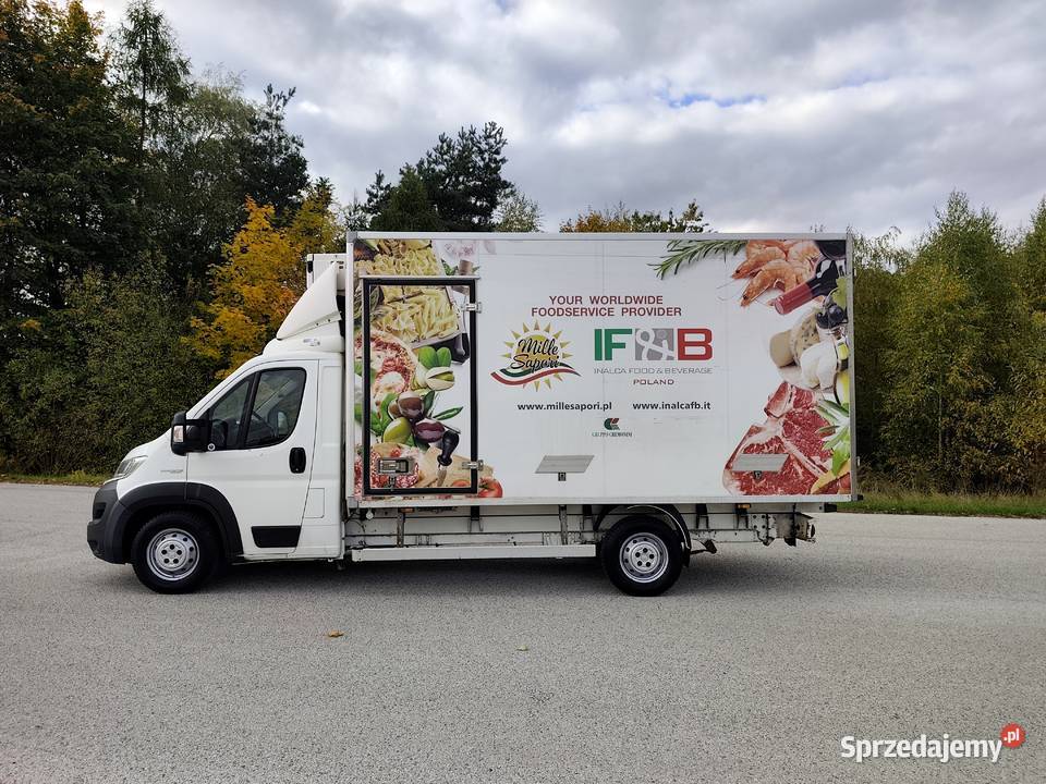 Fiat Ducato Maxi ChłodniaMroźnia 23 180 2019 Dwa Rok produkcji 2019 Wodzisław