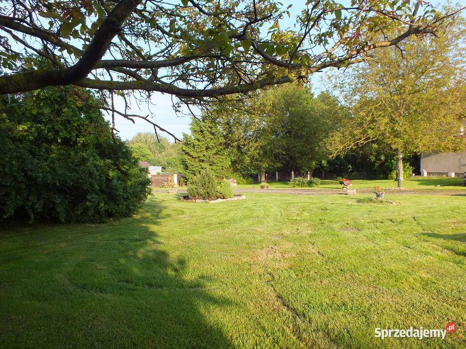 Dom Wojsławice Można składać swoje oferty cenowe