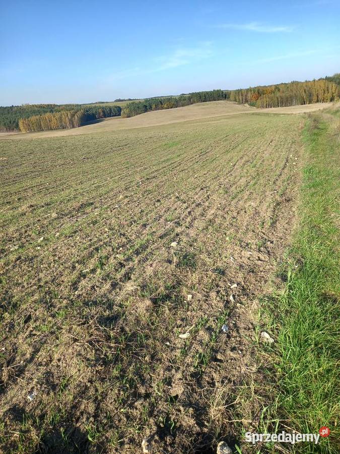 Działka rolna Chomentów