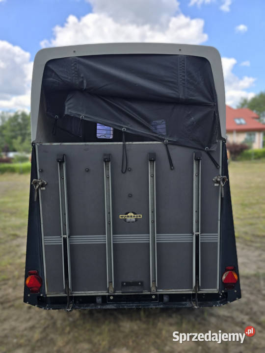 Przyczepa do przewozu koni HUMBAUR HP2006 2ES Korpele