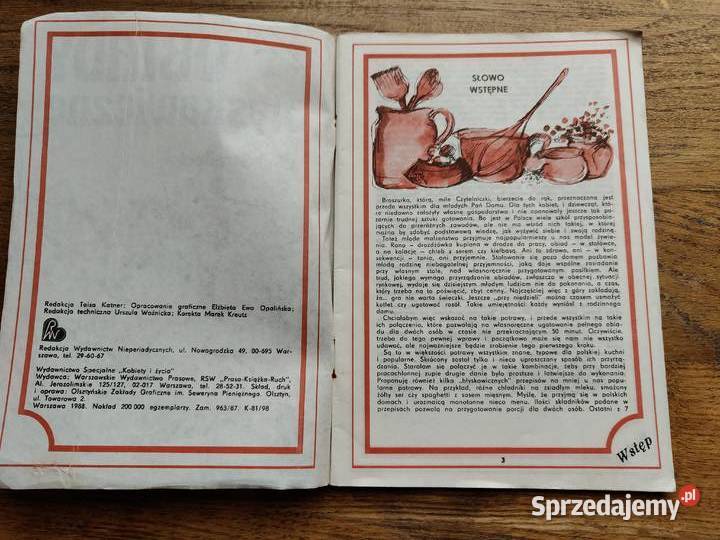 Obiady błyskawiczne Alina Stradecka Kultura i Rozrywka Kraków