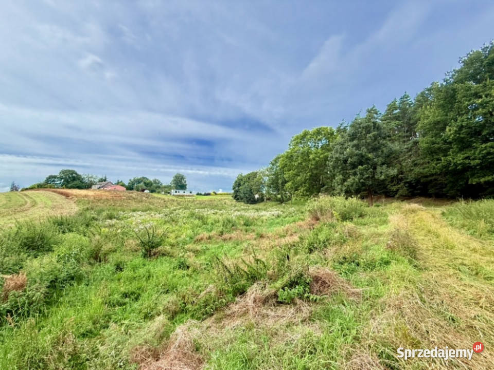 Duża działka 6000 m w Demlinie spokój natura i pomorskie Demlin