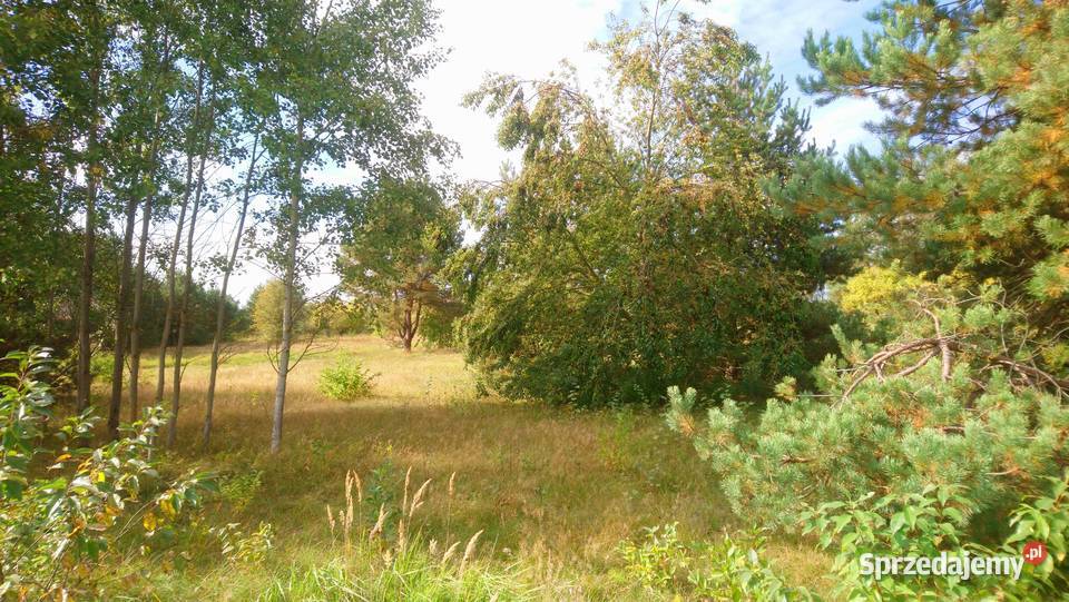 Sprzedam działkę budowlaną o pow 1055m2 z