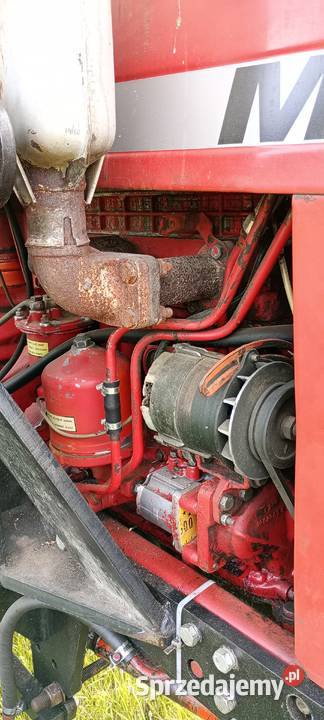 MTZ Belarus Pronar Kruszki sprzedam