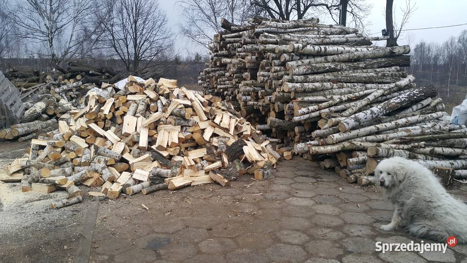 Brzoza Drewno na palecie Drewno Kominkowe Drewno