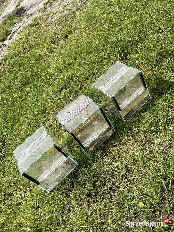 3x Terrarium kostka 15x15x15 gilotyna mini Nowogard