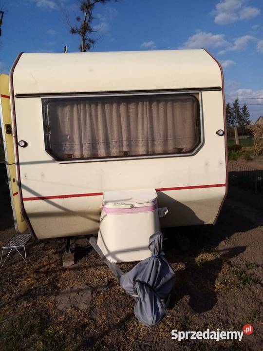 Wilk ci sport 320 mazowieckie Pałuki sprzedam