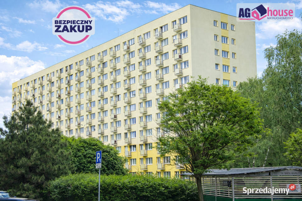 Ogłoszenie mieszkanie 261m2 1 pokój Gdańsk pomorskie