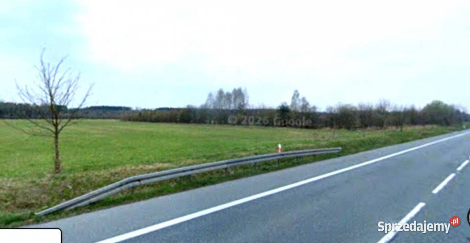 sprzedaż działka inwestycyjna 6829m2 Grodziec Sprzedaż sprzedam