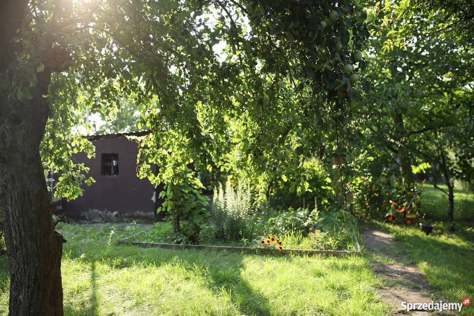 Ogródek działka ROD Zorza Śródmieście Wrocław