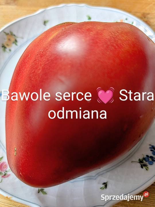 Stara Babcina Malinówka 50 lat Pokarm rybek sprzedam