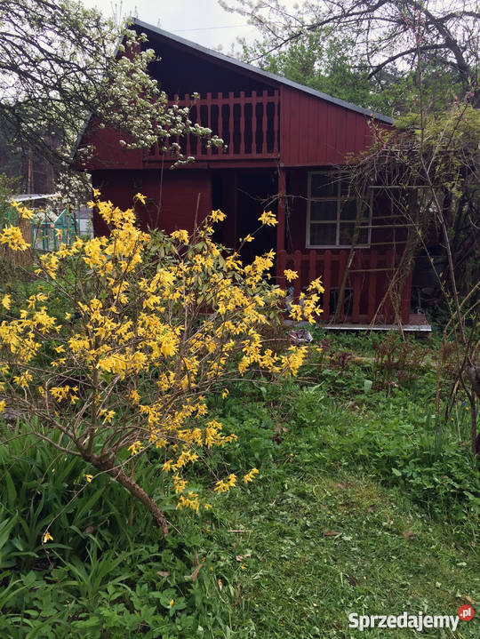 Ogródek działkowy Starachowice woda Nieruchomości świętokrzyskie Starachowice