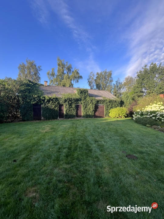 Sprzedam dom całoroczny siedlisko na wsi Źródła