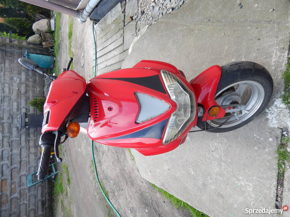 Magnus Ibizzo śląskie Wodzisław Śląski