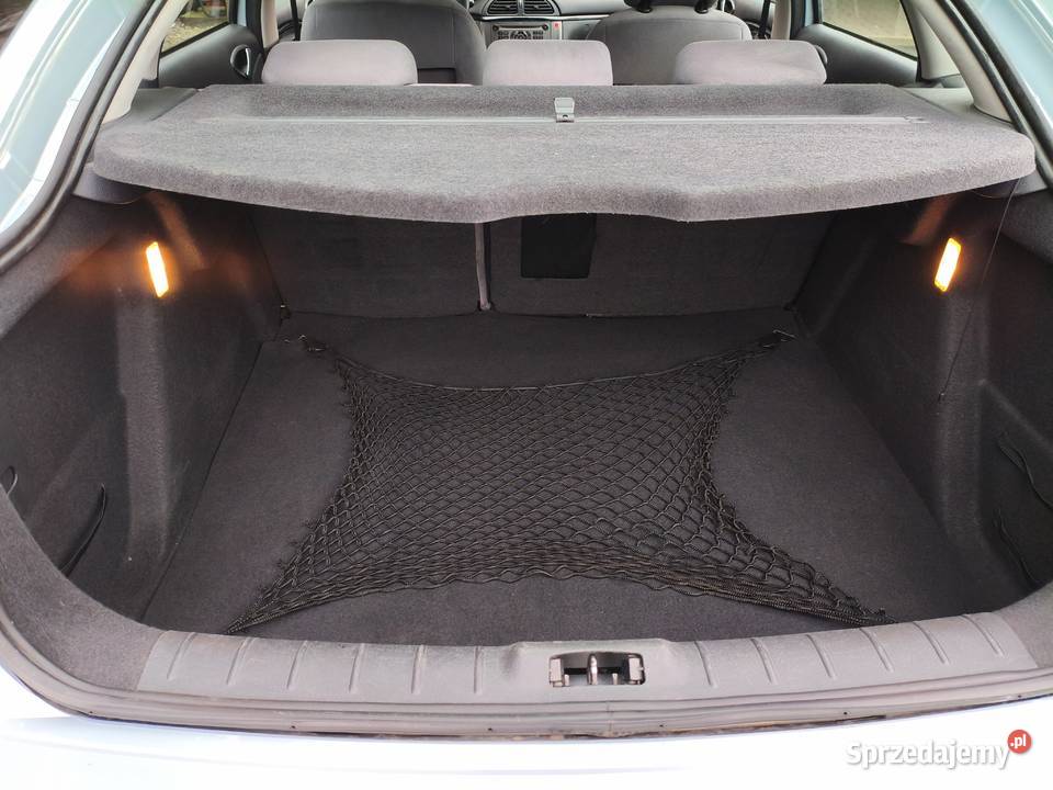 Świeżo sprowadzony z Niemiec