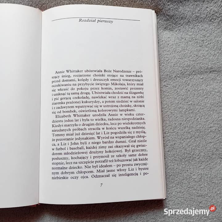 Danielle Steel Podarunek Świat Książki 1995 r Antykwariat Koźminek