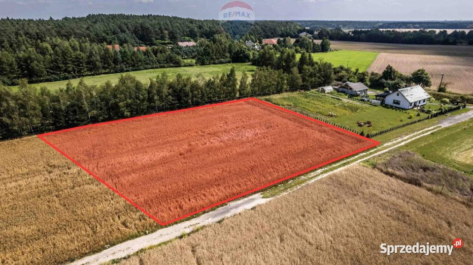 Kicin kPoznania3007 mKapitał rosnący w ciszy Sprzedaż