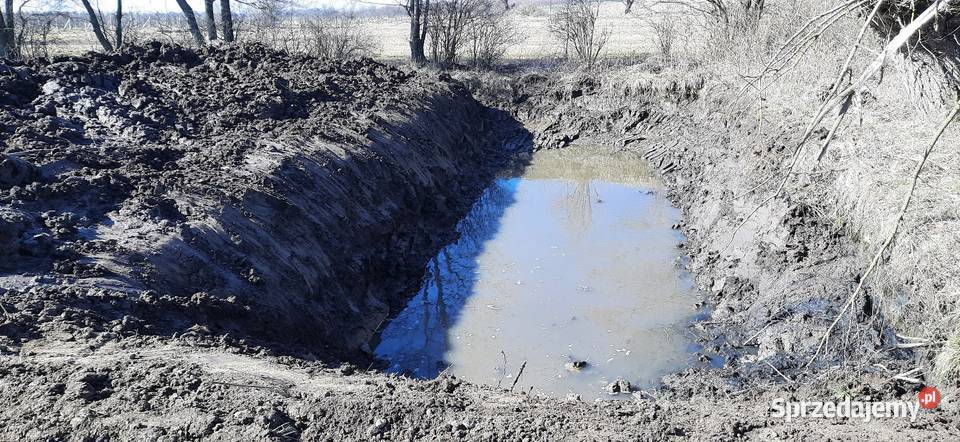 Kopanie stawów Usługi koparką wiertnica Busko świętokrzyskie usługi budowlane