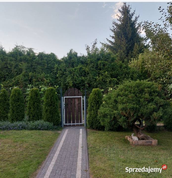 Sprzedam działkę RODOS 48536480m2 Sprzedaż Olsztyn