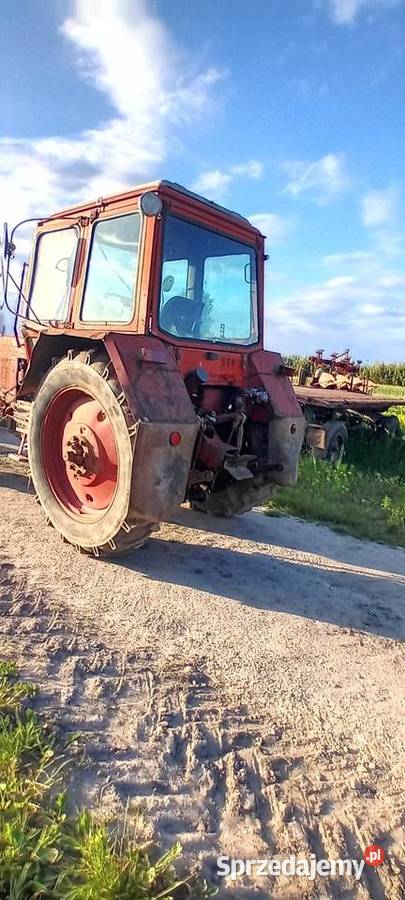 Mtz belarus 82 4x4 550 4x2 Osówka sprzedam
