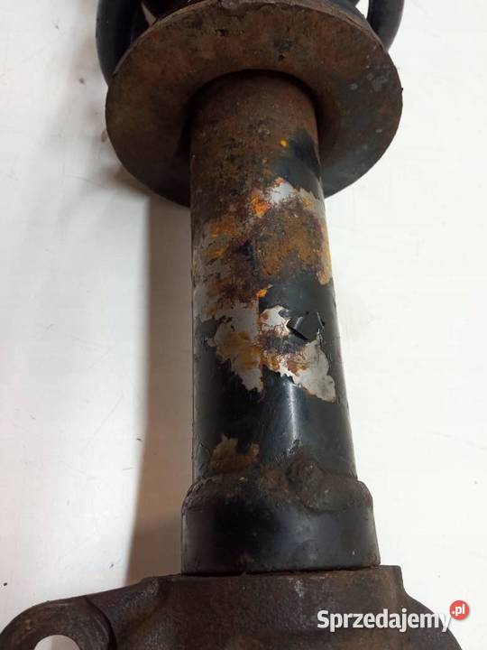 AMORTYZATOR PRZÓD 57 V8 Dodge Charger VII 2011 Amortyzatory