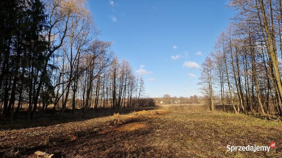 Wycinka Drzew Karczowanie Działek Rzeszów