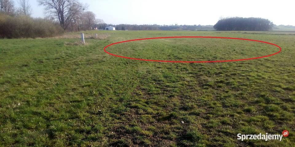 Działka budowlanoinwestycyjna 1900m kw Wronki