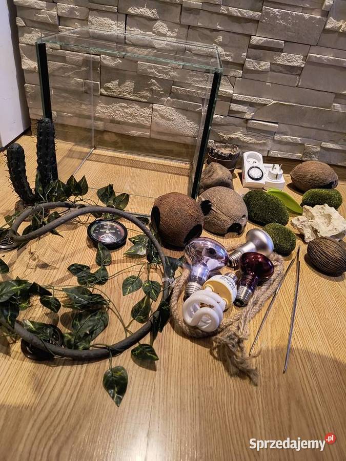 Terrarium kostka gadow 30x30x30 akcesoria Bielsko-Biała