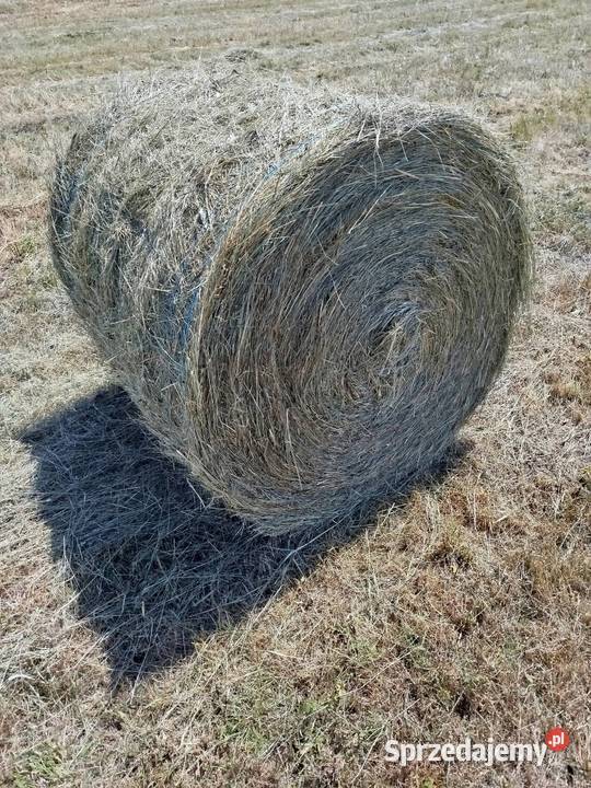 Siano słoma w belach Wytyczno