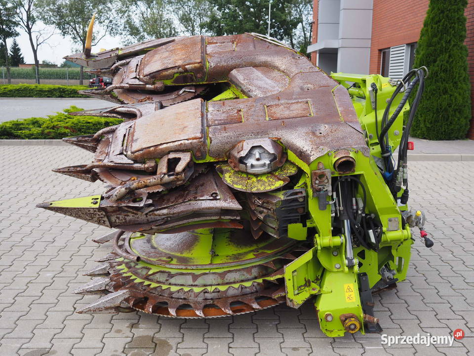 Claas Orbis 600 SD Przystawka do kukurydzy heder wielkopolskie Stęszew