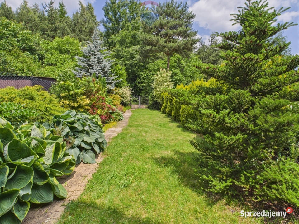 Przytulny dom w zabudowie szeregowej Rybnik cegła
