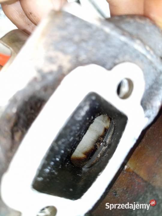 Husqvarna 560 cylinder Stalowa Wola