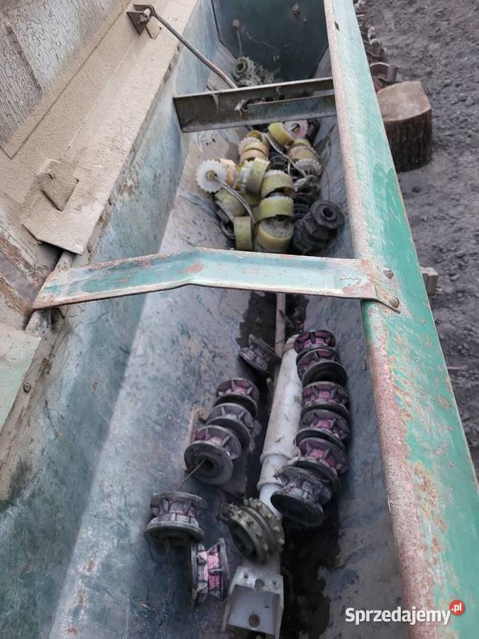 Siewnik poznaniak 2 sztuki mazowieckie Miedniewice