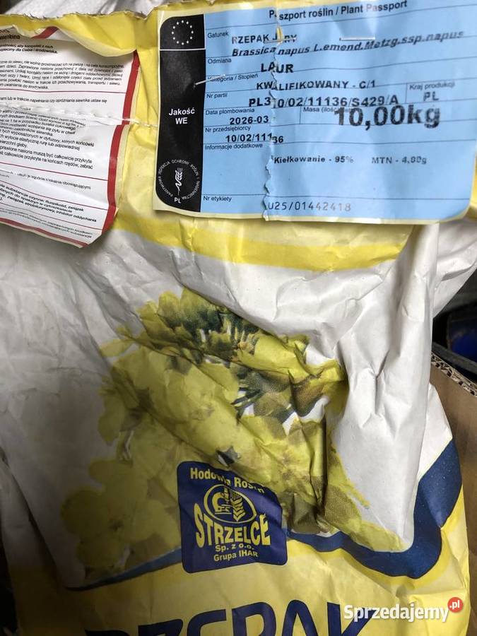 Rzepak jary Laur C1 Lumen F1 Lagoon F1 świętokrzyskie