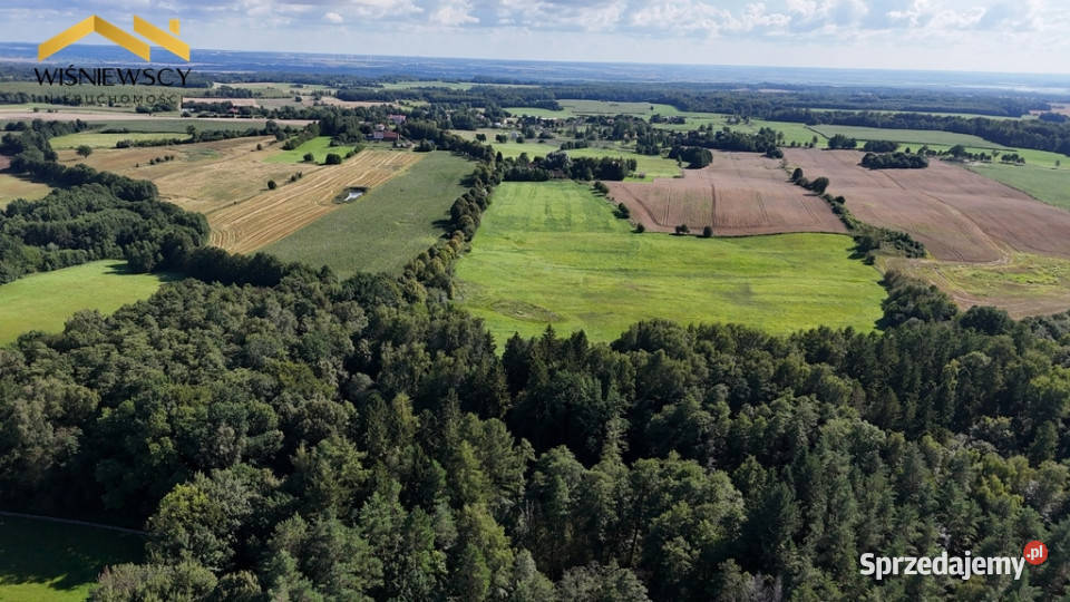 Wyjątkowy teren o powierzchni 71 696m2 warmińsko-mazurskie Pomorska Wieś