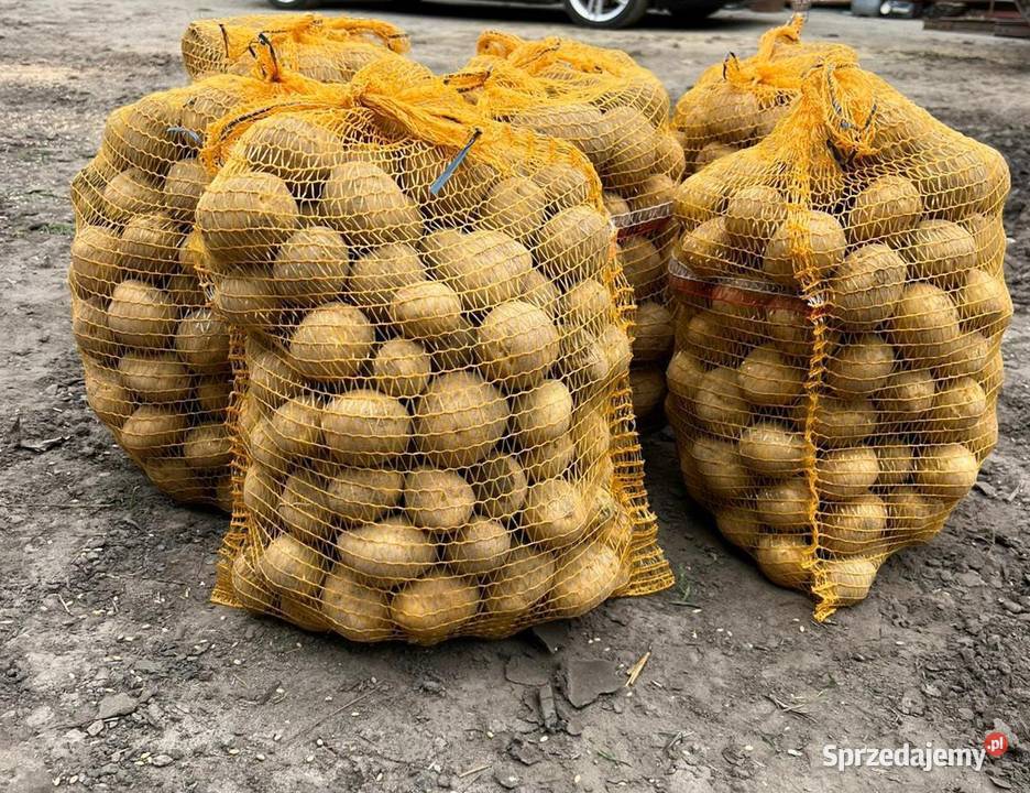 Sprzedam ziemniaki odmiana Gala Pyrzyce